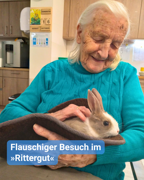 Seniorin im türkisblauen Pullover hat einen Hasen auf dem Schoß und streichelt ihn. Bildbeschriftung: „Flauschiger Besuch im »Rittergut«“